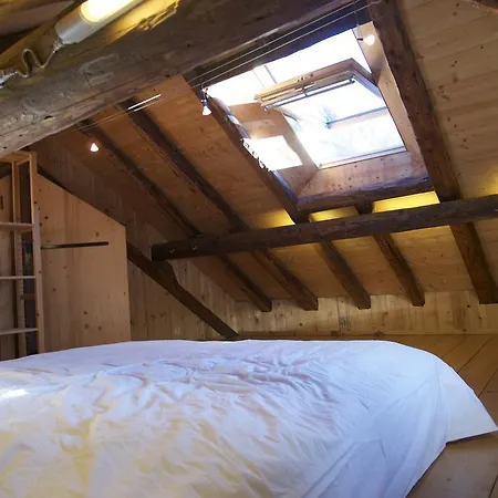 Chalet Les Merisiers Face Au Mont Blanc Chamonix